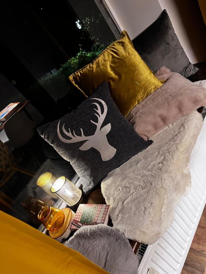 Bavaria Mountain Lodge Ski Arber Osser Bayrischer Wald Designer Ferienwohnung Lohberg Ngoại thất bức ảnh